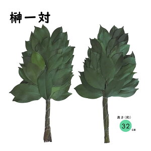 vU[uhiTJLj SC-80690 32m RpNg SC-80856 25cm ~j C21840 20cm B14835 X[v { SOUP uU[ht[ hCt[   䋟 _I  t