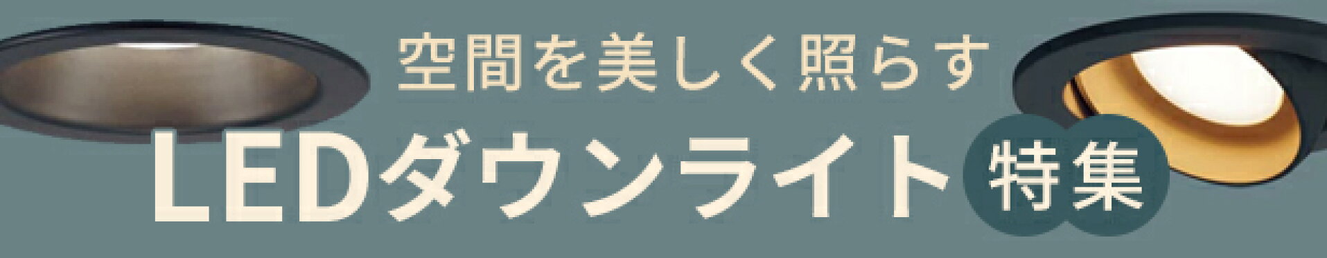 ダウンライト