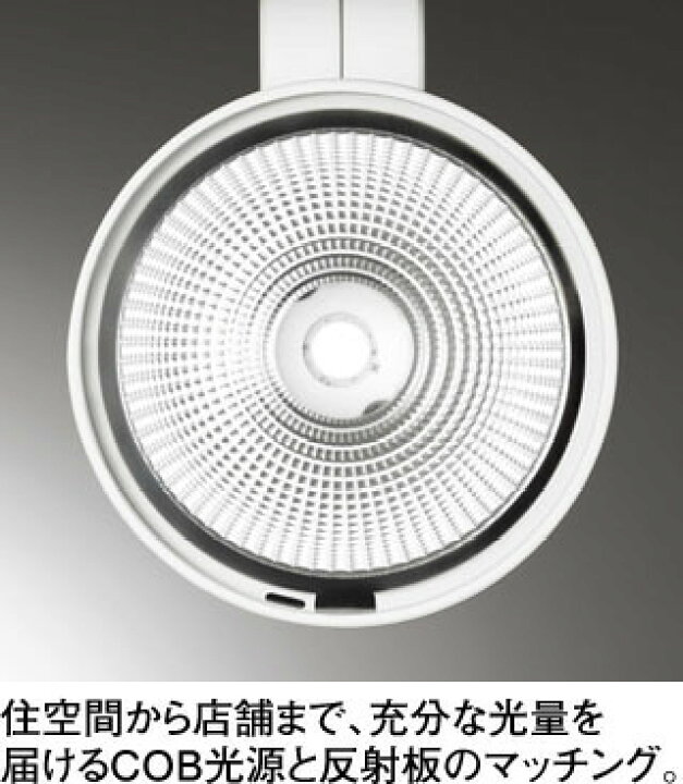 楽天市場】OS256463R 調光対応スポットライト (プラグ)・レール専用 