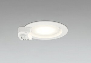 I[fbN LED_ECg OD361411WR F 񒲌 lZT[t gUz 100