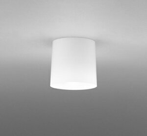 OL013006NR ���^�V�[�����O���C�g (���M��60W����) LED�i�����F�j �I�[�f���b�N (OX) �Ɩ����