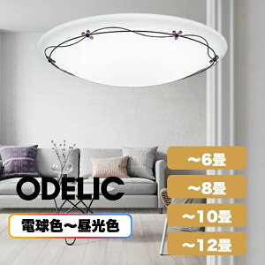 �������F�V�[�����O���C�g (�`12��/�`10��/�`8��/�`6��) LED�i�d���F�{�����F�j �I�[�f���b�N