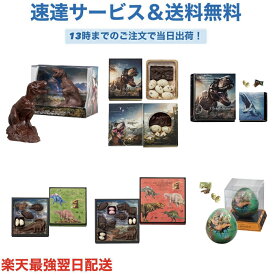 AGE OF DINOSAURS エイジ オブ ダイナソー バレンタイン 2026 恐竜 ティラノサウルス チョコレート プレゼント かわいい ギフト ご褒美 ホワイトデー 男性 女性 彼氏 彼女 友達 男友達 女友達 義理チョコ 友チョコ 可愛い プチギフト