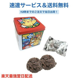 ポケモンチョコクランチ四角缶 ポケットモンスター クランチチョコ 長登屋 ナガトヤ クリスマスプレゼント プレゼント 送料無料