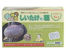 椎茸種駒 【しいたけ種駒400個】鍋 自由研究 夏休み