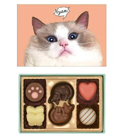 【感謝 ポイント10倍】メリー　にゃそーてっどチョコレート　6個 猫チョコレート バレンタインデー ホワイトデー ギフト ひとりチョコ