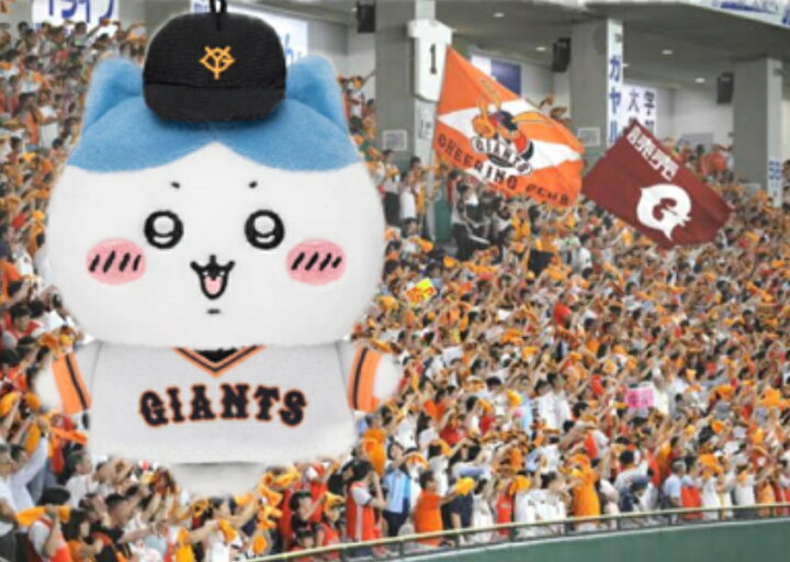 楽天市場】【3品20%2品10%エントリー方】【限定コラボ 即日発送】ちい 