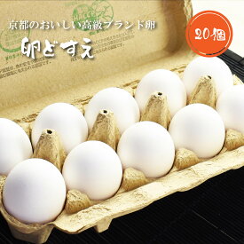 【送料無料 高級 贈答品】 奥京都「卵どすえ」20個 贈り物 最高級 ギフト プレゼント TKG 卵かけごはん たまご 卵 濃厚 美味しい お祝い 誕生日 お取り寄せ 朝食 ランキング 父の日 父親 お父さん 健康