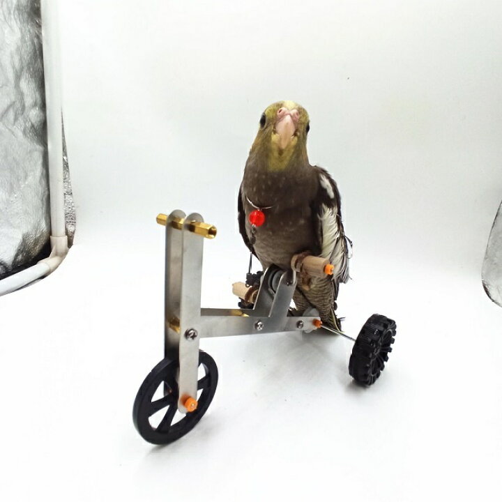 インコ 自転車