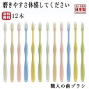 【デイリーランキング1位】歯ぶらし 歯ブラシ 職人の歯ブラシ 先細 ふつう 歯の隅々まで磨ける 日本製 ライフレンジ …