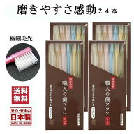 【レビュー投稿でプレゼント 対象商品】歯ブラシ 職人 歯ブラシ 先細 ふつう 歯の隅々まで磨ける 日本製 …