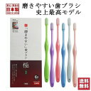 磨きやすい歯ブラシ 田辺重吉 ライフレンジ 歯ブラシ職人 LT-53 磨きやすい 小さめ ヘッド 歯ブラシ 極（ふつう）6本…