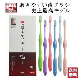 磨きやすい歯ブラシ 田辺重吉 ライフレンジ 歯ブラシ職人 LT-53 磨きやすい 小さめ ヘッド 歯ブラシ 極（ふつう）6本セット 職人の歯ブラシ 歯周ケア メール便 送料無料
