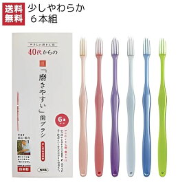 1000円ポッキリ 歯ブラシ 職人の歯ブラシ 歯ブラシ職人 40代からの 磨きやすい歯ブラシ 田辺重吉考案 先細毛先細毛 小さめヘッド ハブラシ 歯磨き 歯みがき 歯周ケア（少しやわらかめ）LT-59 6本セット