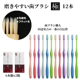 磨きやすい歯ブラシ 歯ブラシ職人 田辺重吉考案 LT-53 極（ふつう）歯磨き 歯ブラシ はみがき 先細 お得 職人の歯ブラシ 歯周ケア 12本 6本セット×2箱