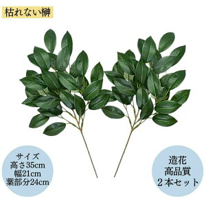   TJL  A i^Cv  2Zbg ͂Ȃ _I Ԃ炸 Zbg [֑