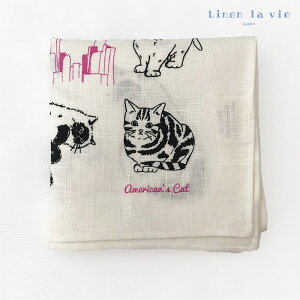 { l nJ` AJLbg L ˂ 100% 唻 C~ ٓ ډB lB A[W[ Mtg v[g