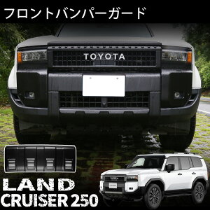 hN[U[ 250 N250 p[c tgop[K[h tgop[AveN^[ bVt O JX^ p[c hXAbv ANZT[ GA p[c LAND CRUISE