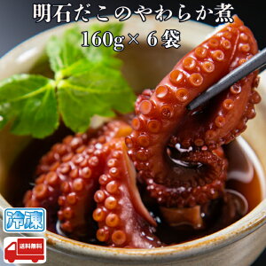 ΂̂炩 160g 6 Yn Yi Yi n O  Ε ̓ ̓ hV̓  j j a   Mtg 蕨 yY  YHi 