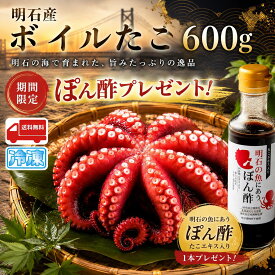 明石産 ボイルたこ 600g 真だこ マダコ 茹でタコ 刺身 たこぶつ 明石蛸 タコ 蛸 海産物 お取り寄せ おつまみ 高級 たこ焼き 国産 産地直送 特産品 ご当地 グルメ お中元 お歳暮 父の日 母の日 敬老の日 お礼 内祝 誕生日 ギフト お土産 水産加工品 冷凍食品 プレゼント