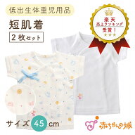 低体重児 服 ベビー 肌着 短肌着 日本製 2枚セット 45cm 低出生体重児 ベビー肌着 綿100% フライス ピン…