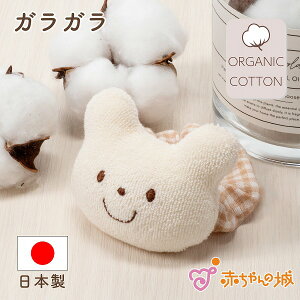 g xr[ t@[XggC  oYj v[g   蕨 j oY j̎q ̎q Ԃ  킢 Mtg V xr[pi KK { I