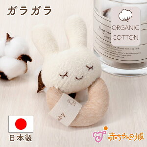 g xr[ t@[XggC  oYj v[g  I[KjbNRbg  蕨 j oY j̎q ̎q Ԃ  킢 Mtg V xr[p