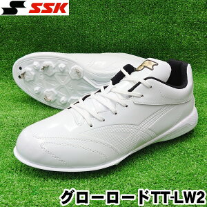 2025Nfy싅XpCN@ߍݎzySSKzGXGXPCiO[[hTT-LW2jx[X{[XpCN@zCgyZ싅Ήz