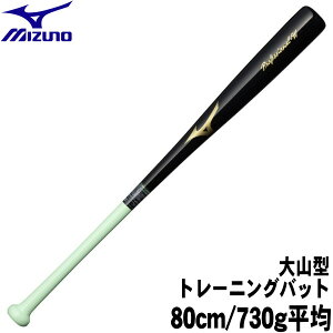 2025i JrywpŌg[jOobg@80cm/730g R^ ؐzyMIZUNOz~YmyProfessional-WzNpŌ@g[jO vtFbViW@ubN×O[