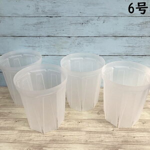 l܂肵ɂIXbg 6O 4Zbg lK~GiNEgamieru Xbgjb10-TU