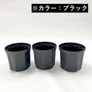 l܂肵ɂIXbg 7 3ZbgiubNjb10-TU