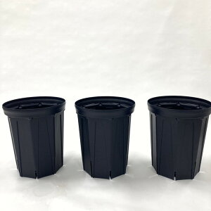 l܂肵ɂIXbg 7O 3Zbgijb04-PA