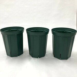 l܂肵ɂIXbg 7O 3ZbgiXO[jb04-PA