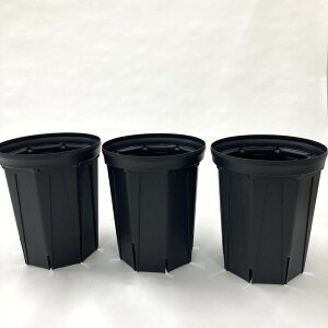 l܂肵ɂIXbg 7O 3ZbgiubNjb04-PA