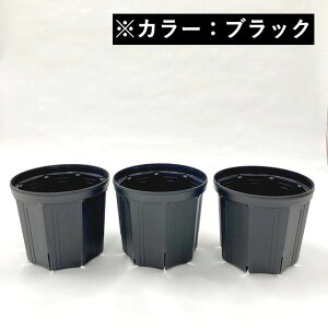 l܂肵ɂIXbg 8 3ZbgiubNjb10-TU