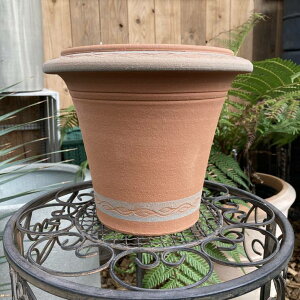 テラコッタ鉢 ウィッチフォード Whichford Species Hellebore Pot 866(代引き不可)|資材10-KT