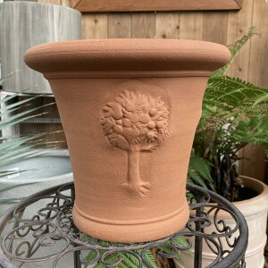 �e���R�b�^�� �E�B�b�`�t�H�[�h Whichford RHS Apple Tree Pot rhs18�i������s�j�b����10-KT