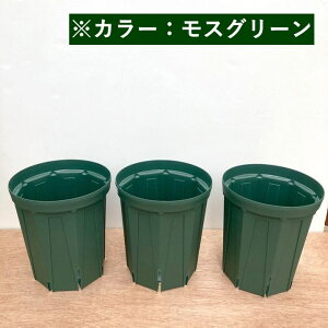 l܂肵ɂIXbg 6O 3ZbgiXO[jb04-PA