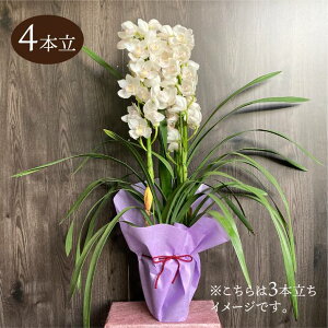 VrW[ n 6 4{ Mtgdlbm04-PA