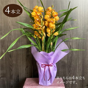 VrW[ IWn 6 4{ Mtgdlbm04-PA