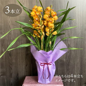 VrW[ IWn 6 3{ Mtgdlbm04-PA