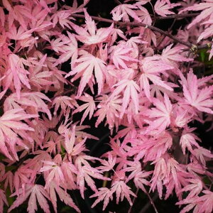 sNF ~W eC[ 3.5bԖ10-TU