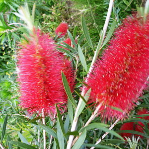 JXe LOXp[NXyV 5 ͂10xꍇ܂BbԖ10-TN