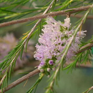 EJ A~XsN 5 ͂10xꍇ܂BbԖ10-TN