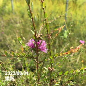 EJ ^Cnj[}[^ 5 ͂10xꍇ܂BbԖ10-TN