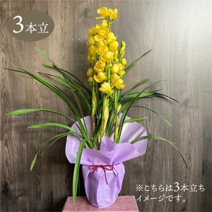 y\tzVrW[ Fn 6 3{ Mtgdl 2025N12肨͂\bm10-TO