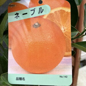 l[u 5O|bg 2Ncbkbʎ04-PA