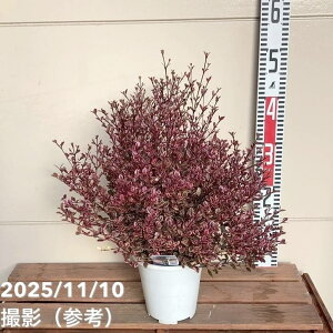 tH~^X }WbNhS 5 PVPbԖ04-PA