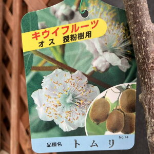 LECt[c g IX󕲎p 5O|bgbʎ04-PA