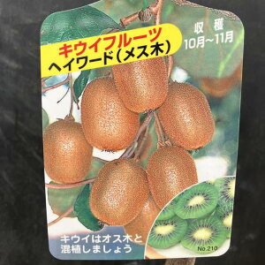 LECt[c wC[h  5O|bgbʎ04-PA